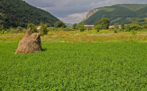 Haystack Nature HD Desktop Wallpaper 114238