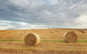 Haystack Photgoraphy Best Wallpaper 114247