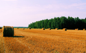 Haystack Nature Background Wallpaper 114235