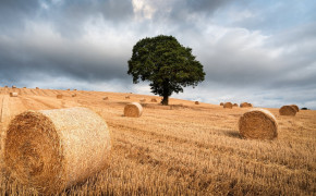 Haystack Photgoraphy HD Wallpaper 114250