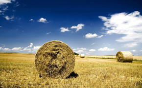 Haystack Nature Widescreen Wallpapers 114244