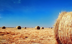 Haystack Photgoraphy Background Wallpaper 114245