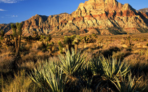 Red Rock Canyon Wallpaper HD 118243