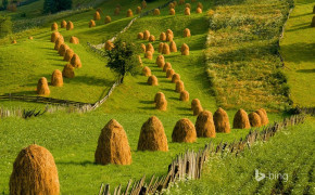 Haystack Nature Wallpaper 114243