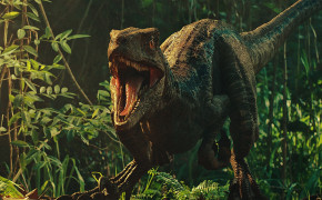 Dinosaur HD Background Wallpaper 46661