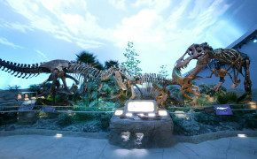 Dinosaur Background Wallpaper 46655