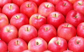 Apple Fruit Wallpaper 1920x1080 65451