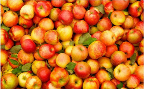 Apple Fruit Wallpaper 1024x640 65447