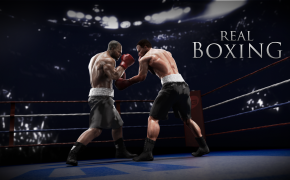 Boxing 06736