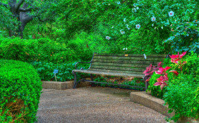 Bench Best Wallpaper 97827