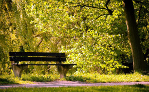 Bench Nature Best HD Wallpaper 97838