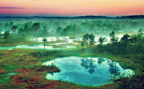 Estonia Nature Wallpaper 95659