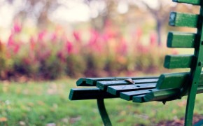 Bench Photography HD Desktop Wallpaper 97852