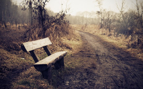 Bench Photography HD Wallpaper 97853