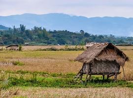 Luang Nam Tha, Laos