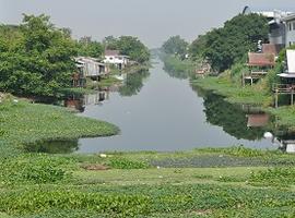 Majuli Island, Assam, India