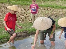 Rice farming experience Laos