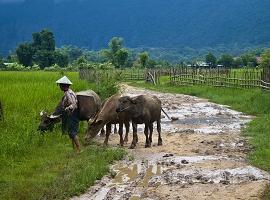 Village, Laos