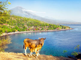 Mount Agung, Bali