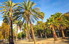 Rambla - Raval