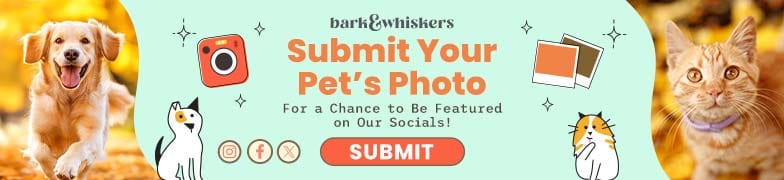 Submit Your Pets Photo