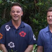 Did you vote during tonight's I'm a Celebrity episode?