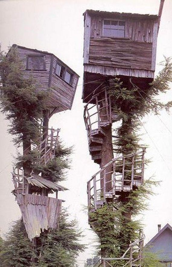 tree-houses-for-adults