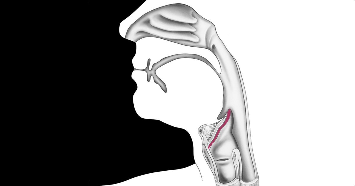 Epiglottis Pictures