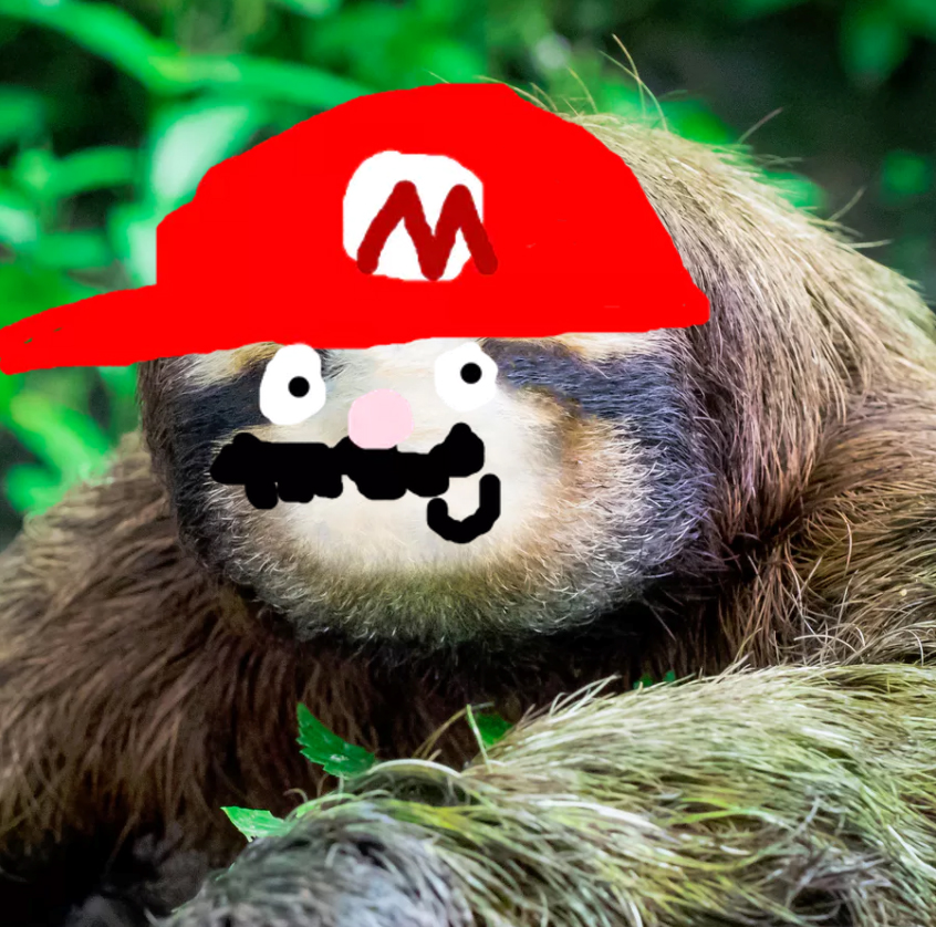 A Super Mario sloth