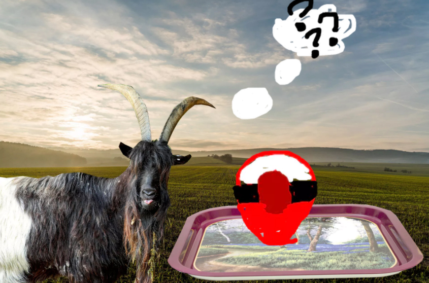 A goat confused about the Poke Ball on his dinner tray