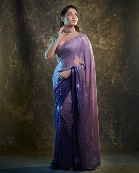 Purple Shaded Chamki Work Saree With Blouse