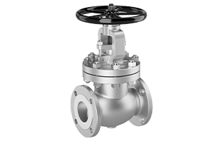 Globe Valves | Australian Supplier | Beaver Process Equipment