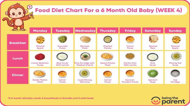 6-month-week-4-food-schedule