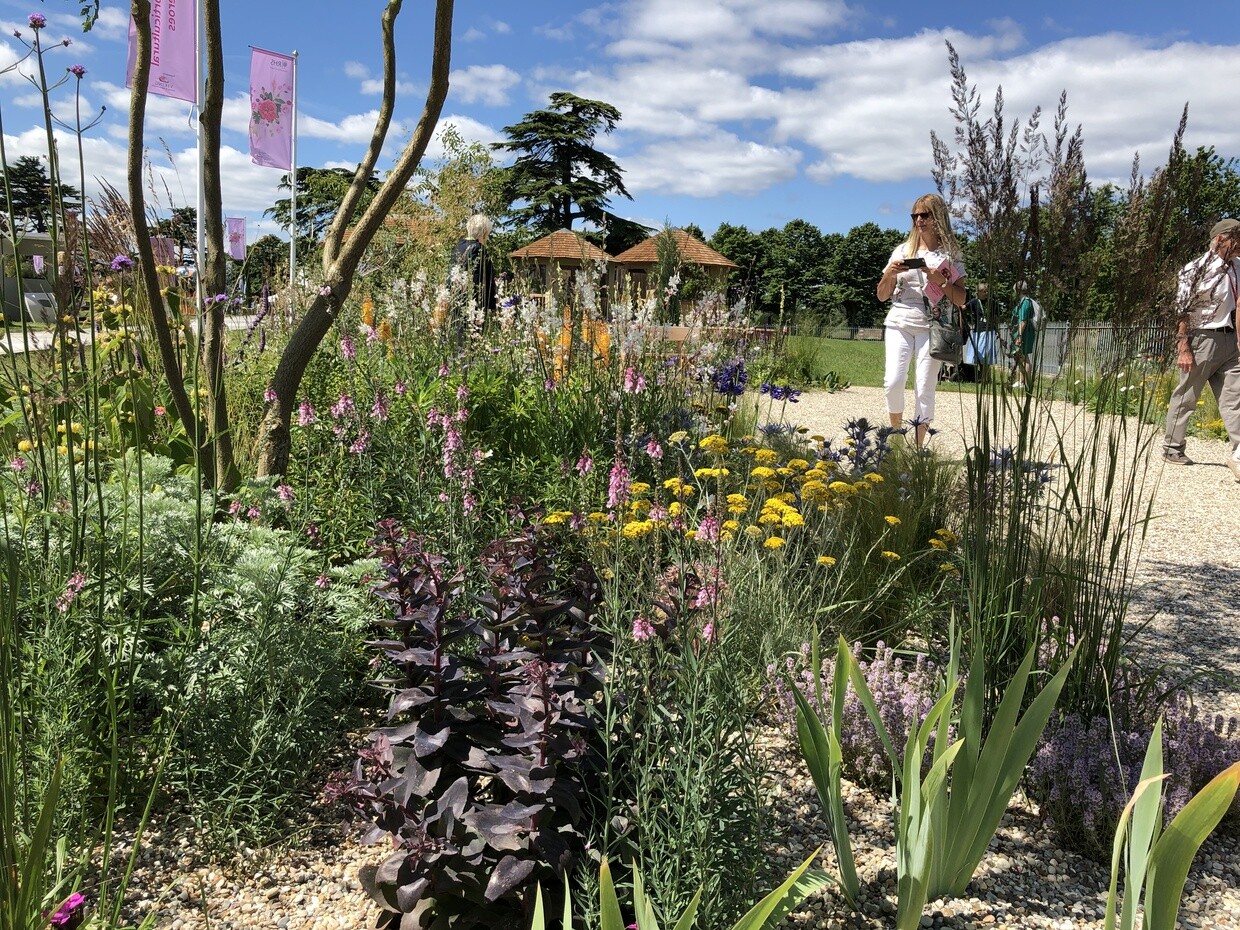 Hampton Court Palace Garden Festival � the plants!