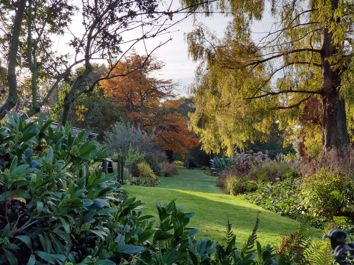 Planting in autumn