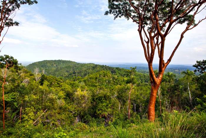 View of surrounding countryside near Las Terrazas, Cuba