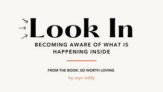 Look In: Becoming Aware of What's Happening Inside Jeremiah 29:13 New Living Translation