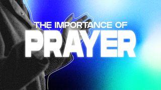 The Importance of Prayer Numbers 6:24-26 New Living Translation