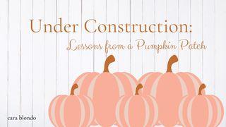 Under Construction: Lessons From a Pumpkin Patch