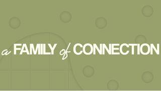 A Family of Connection