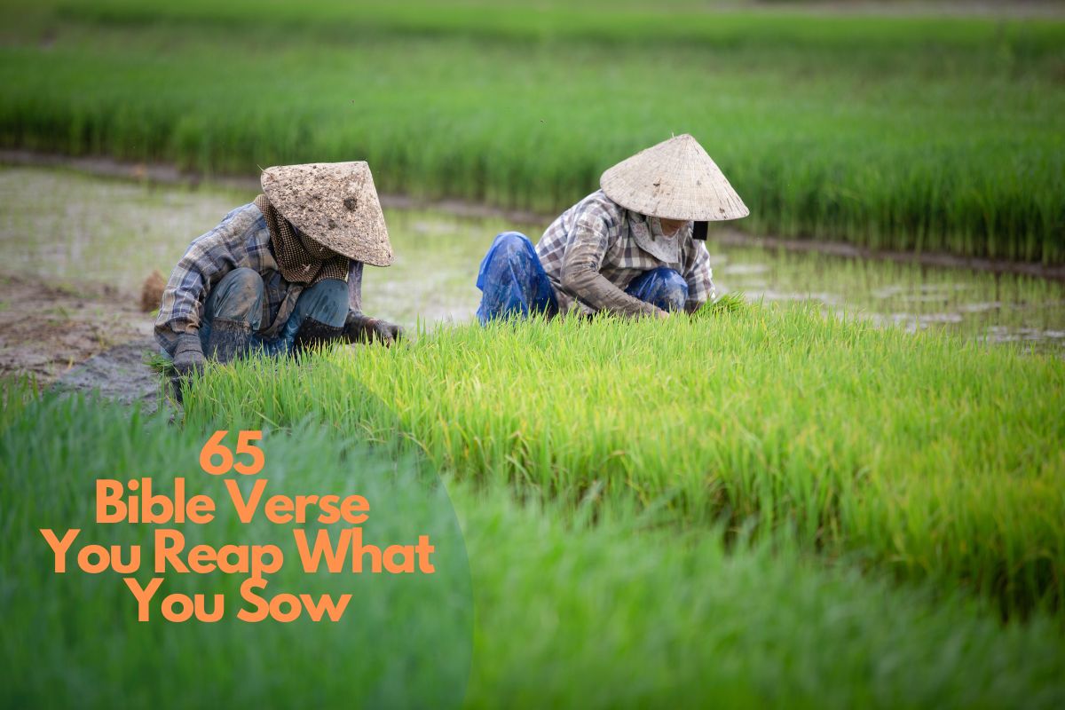 65 Bible Verse You Reap What You Sow