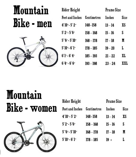 Sale > bicycle sizing guide > in stock