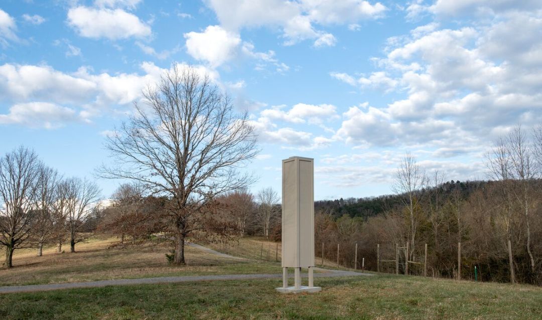 Chimney Swift Tower at Biltmore