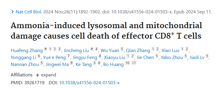 氨诱导的溶酶体和线粒体损伤导致效应CD8+ T细胞死亡