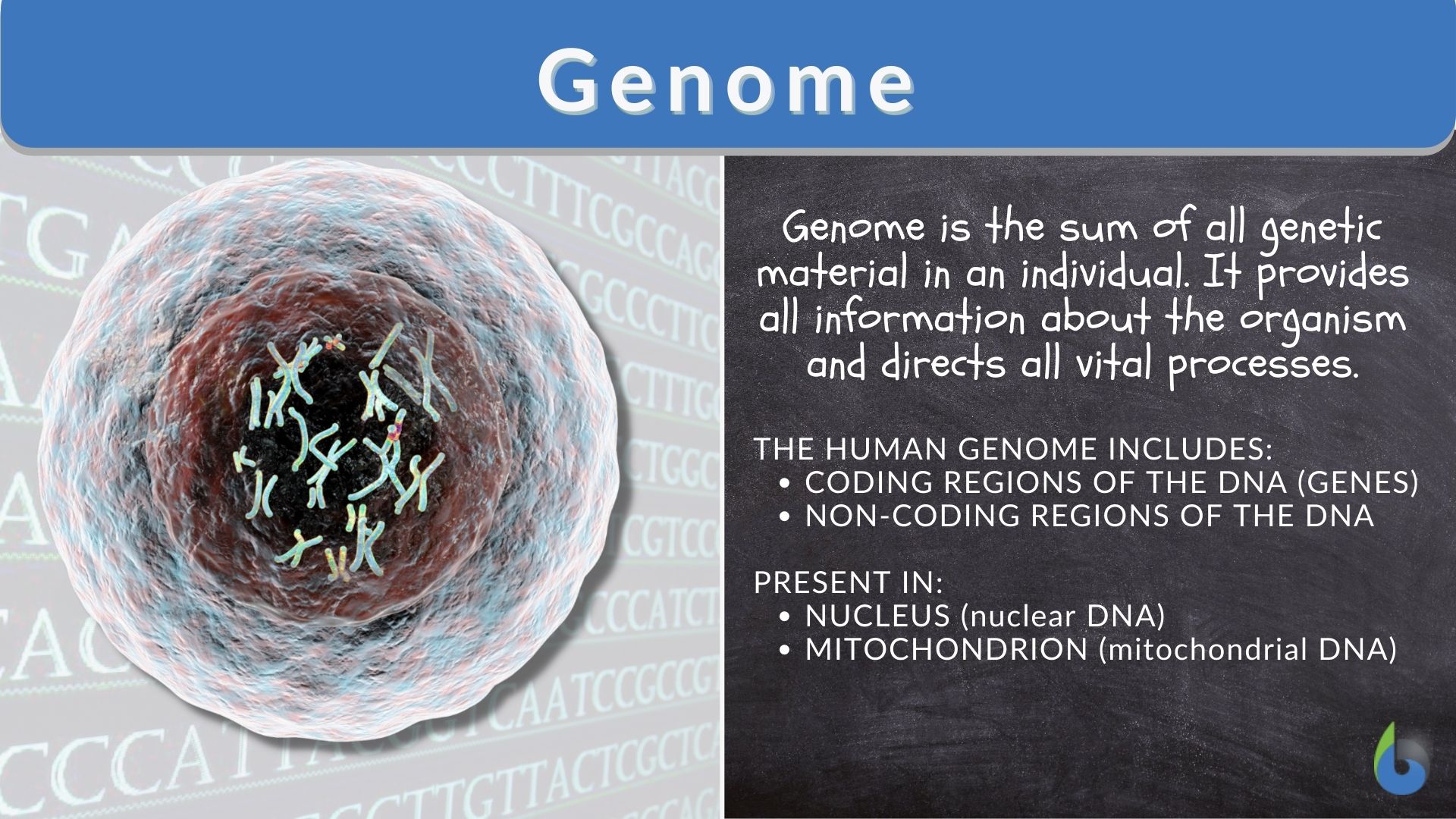 Simple Genetic Map