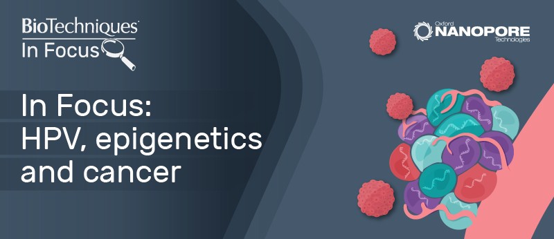 HPV, epigenetics and cancer - BioTechniques