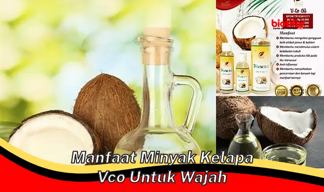 manfaat minyak kelapa vco untuk wajah