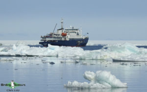 Antarctica birding tours