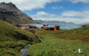 Antarctica birding tours