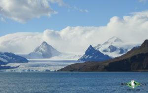 Antarctica birding tours